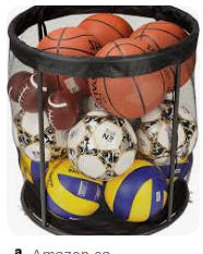 A basket full of sports balls

Description automatically generated